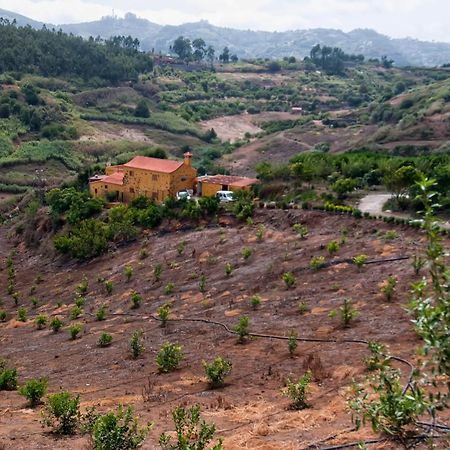 Las Casas De Lola Y Rafael Moya  Exteriér fotografie